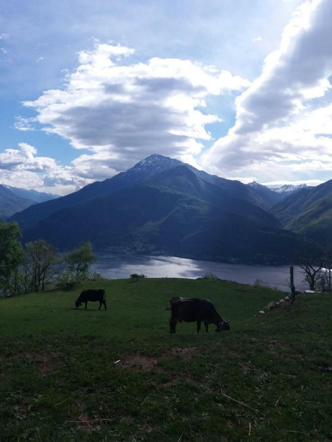Agriturismo Piccolo Paradiso Pianello Del Lario Exteriér fotografie
