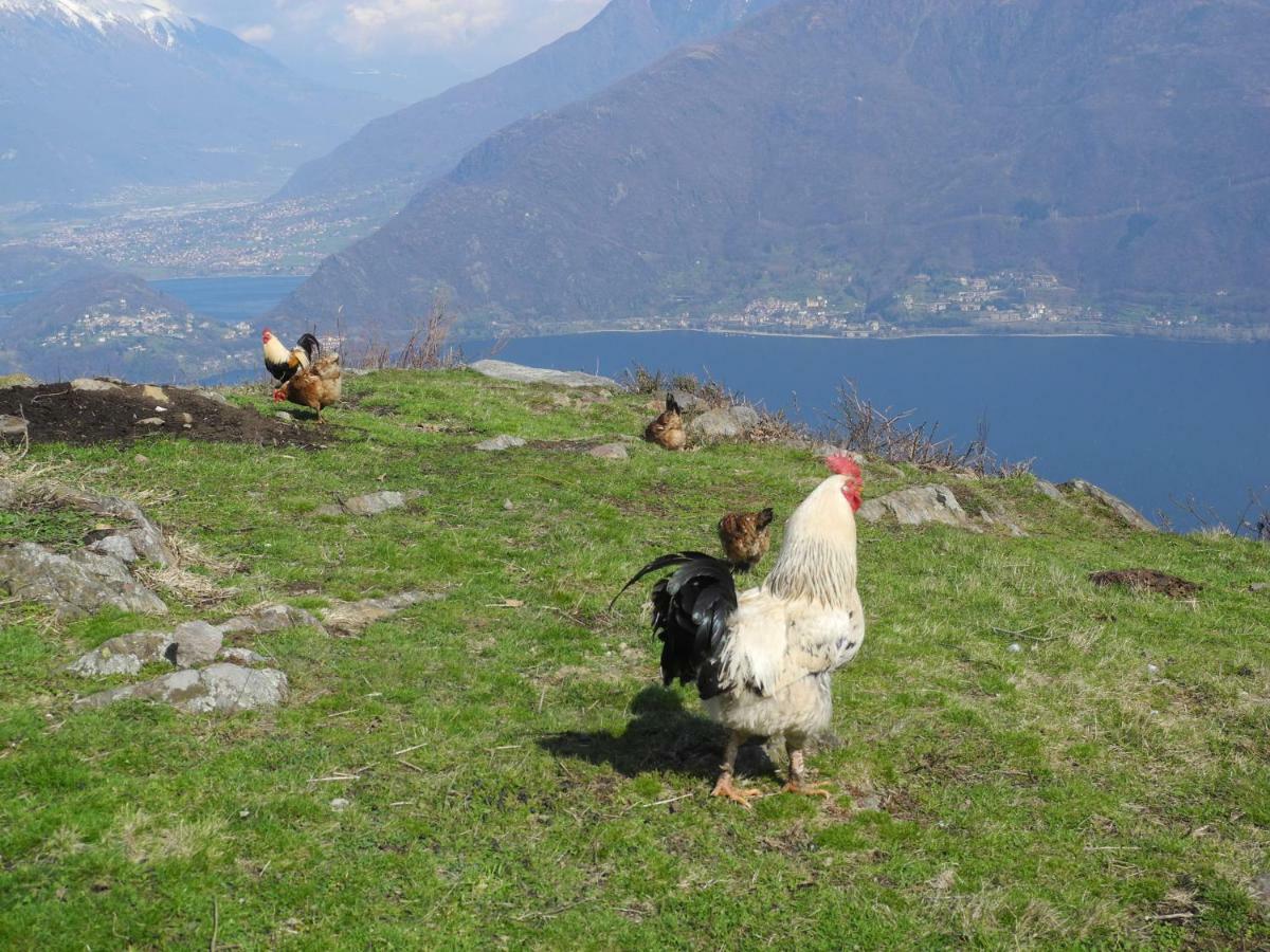 Agriturismo Piccolo Paradiso Pianello Del Lario Exteriér fotografie