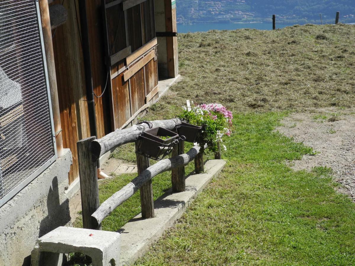 Agriturismo Piccolo Paradiso Pianello Del Lario Exteriér fotografie