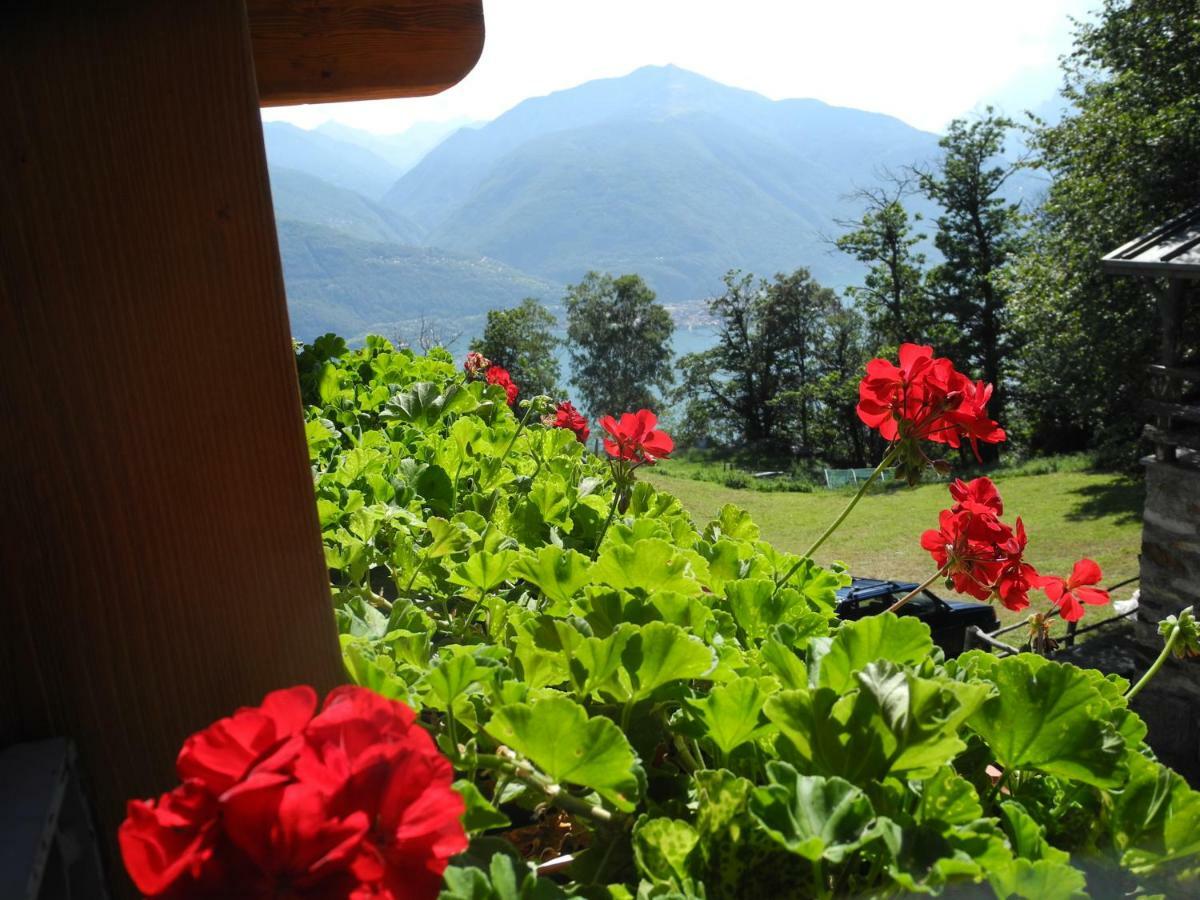 Agriturismo Piccolo Paradiso Pianello Del Lario Exteriér fotografie